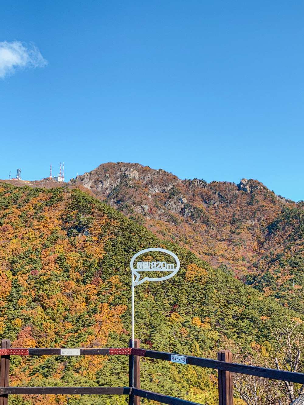 팔공산 단풍 / 사진=대구관광B2B정보교류사이트