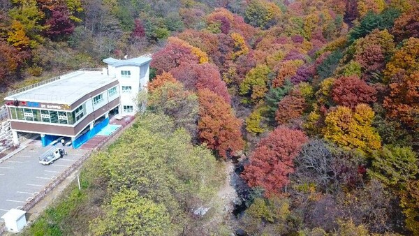 김천 물소리생태숲단풍 / 사진=물소리생태숲 공식 누리집