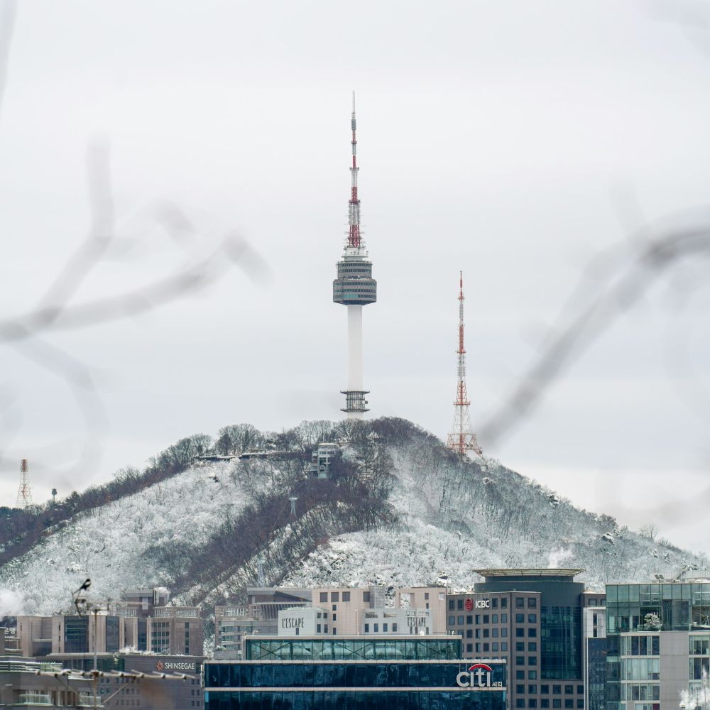 남산공원 / 사진=unsplash@Hoyoun Lee