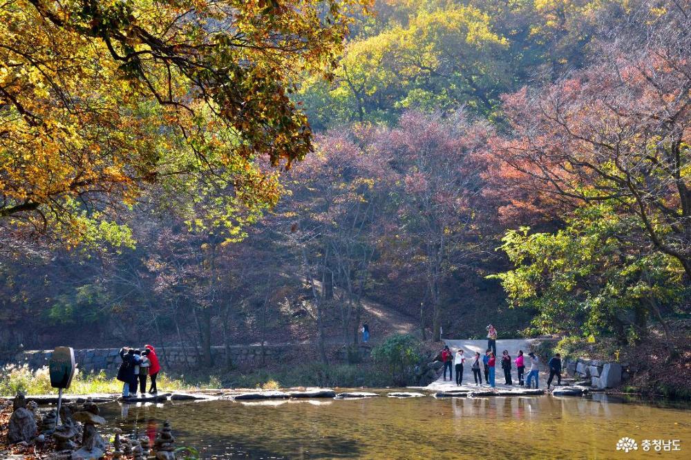 전쟁도 피한 천년고찰 마곡사 / 사진=충청남도@설산 (ds3keb@naver.com)