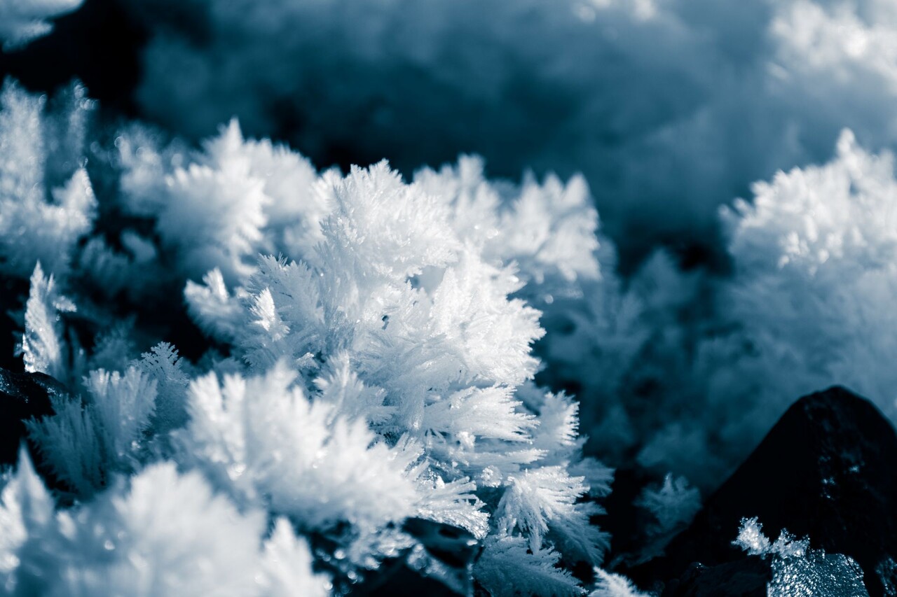 얼음꽃의 구조 / Designed by Freepik