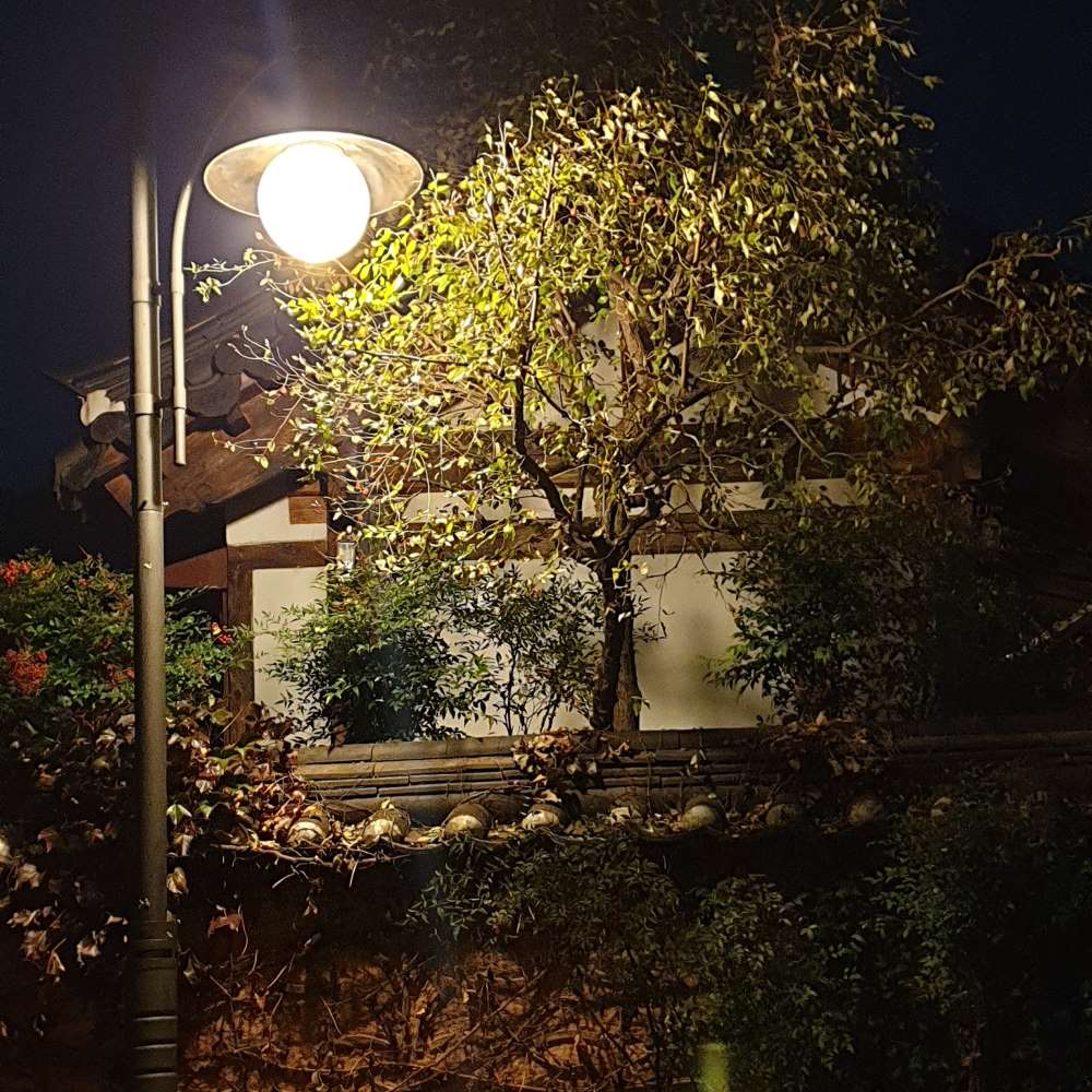 돌담길 야경 / 직접촬영