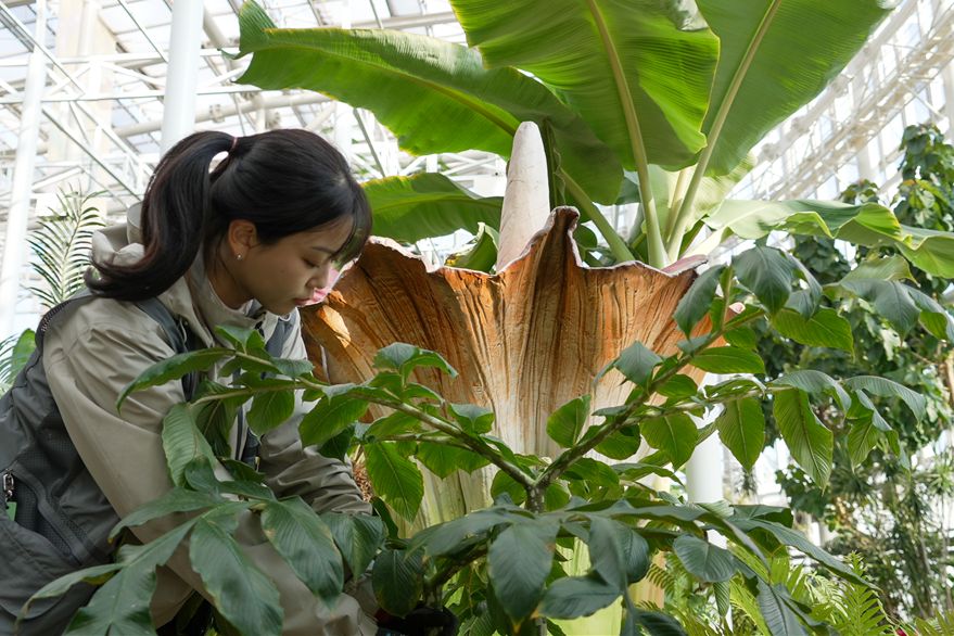 무빙가든을 준비 중인 정원사 / 사진=세종수목원