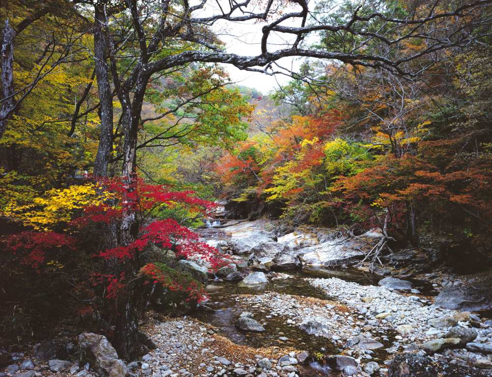 피아골 단풍 / 사진=공공누리@전라남도 구례군