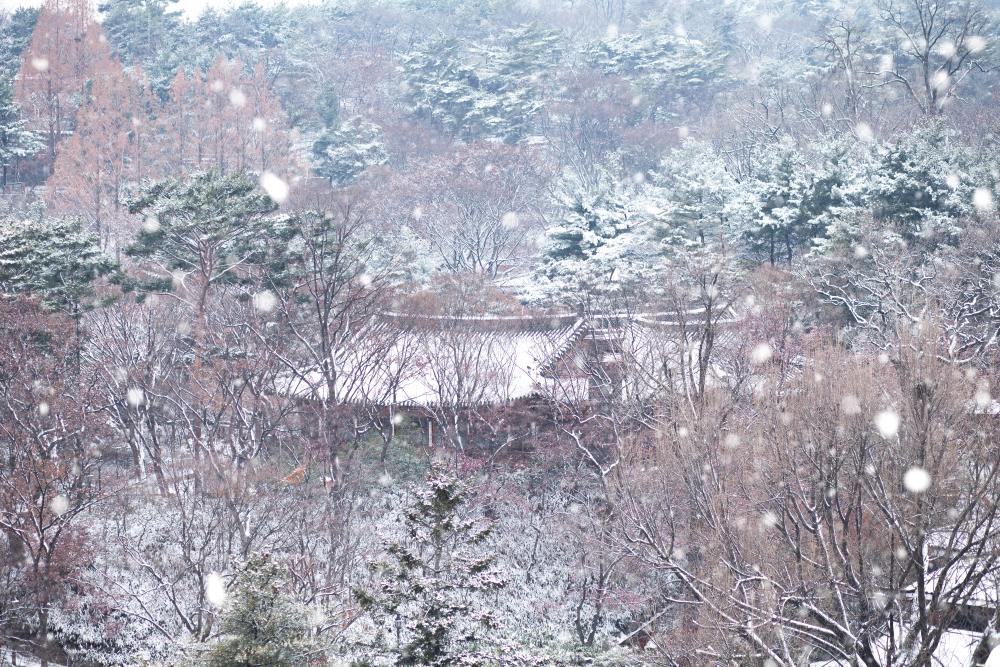 북촌 설경 / 사진=서울아카이브