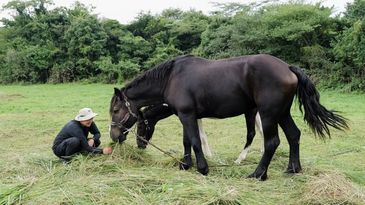 引用:EBS \'PDログ\'