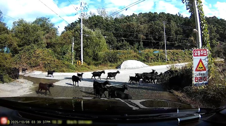 引用:JTBC \'ハン・ムンチョルのブラックボックスレビュー\'