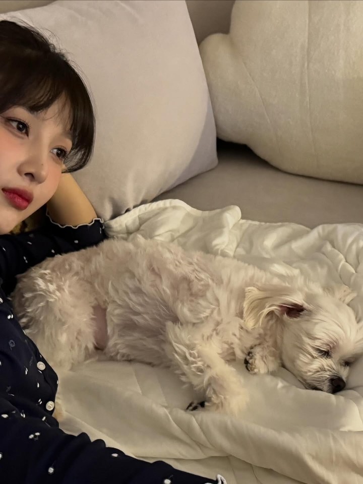 引用:ジョイ SNS