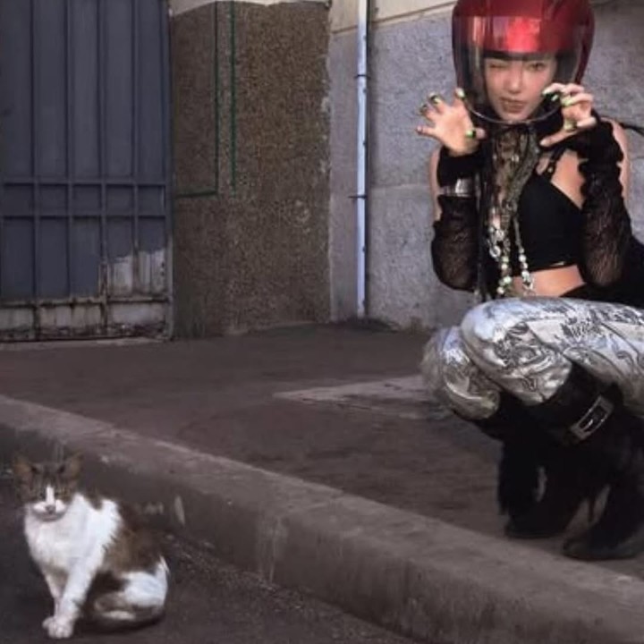 引用:ニンニン SNS