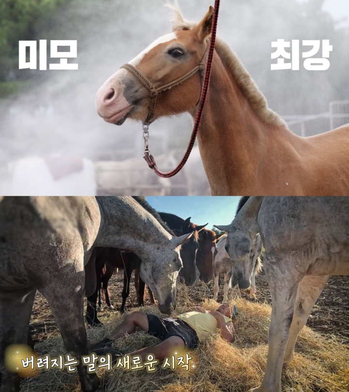 引用:EBS \'PDログ\'