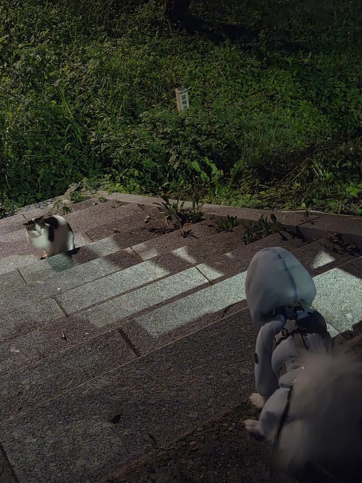 引用:チェウォン SNS