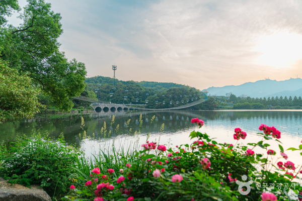 서울대공원 /사진제공-한국관광공사