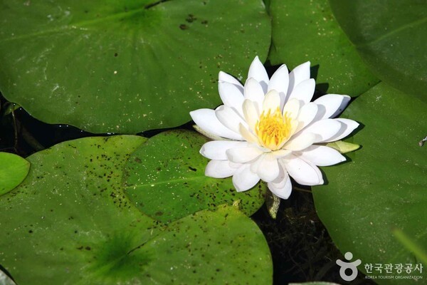 벽초지수목원 /사진제공-한국관광공사
