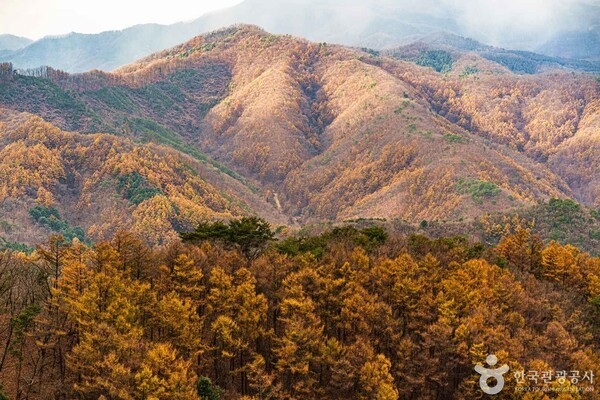 삼악산 호수케이블카 /사진제공-한국관광공사