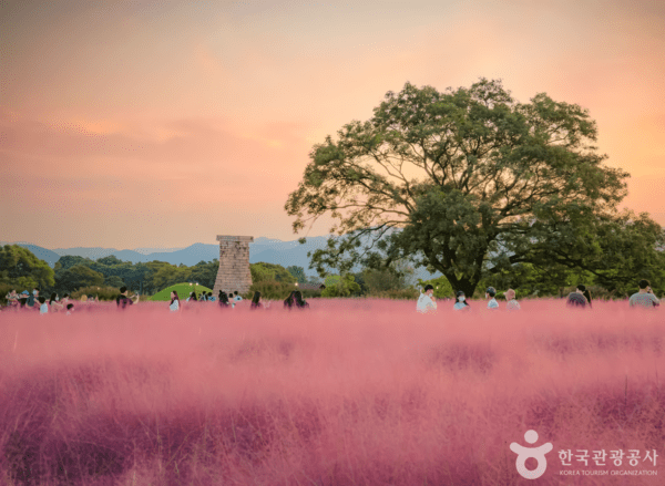 첨성대 /사진제공-한국관광공사