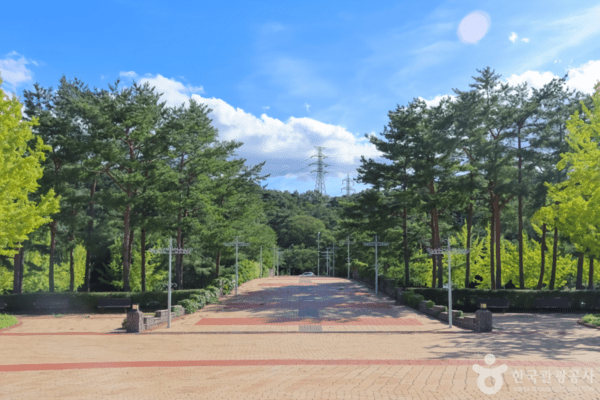 울산대공원 /사진제공-한국관광공사