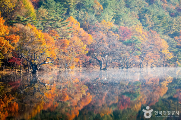주산지 /사진제공-한국관광공사