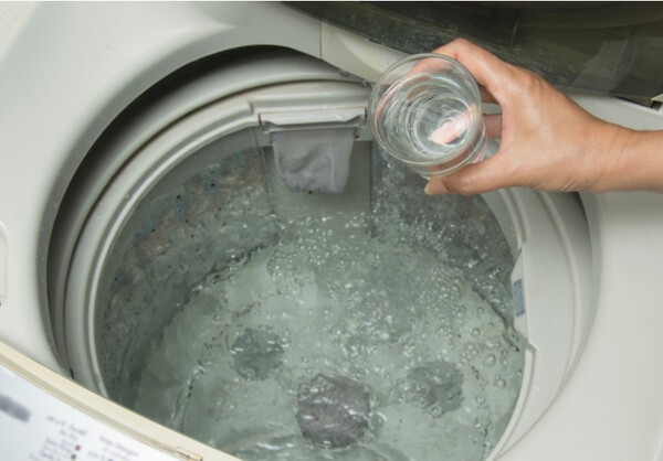 domani