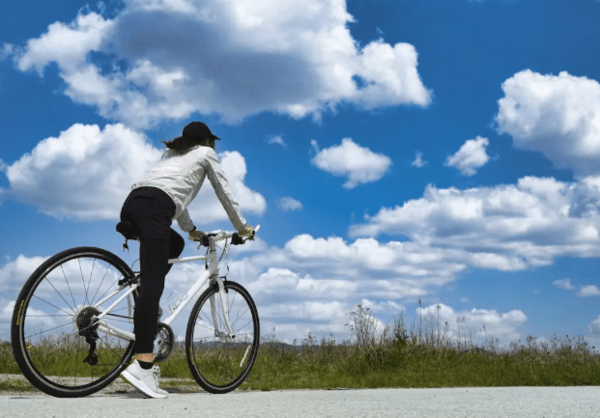 roadbike-expert