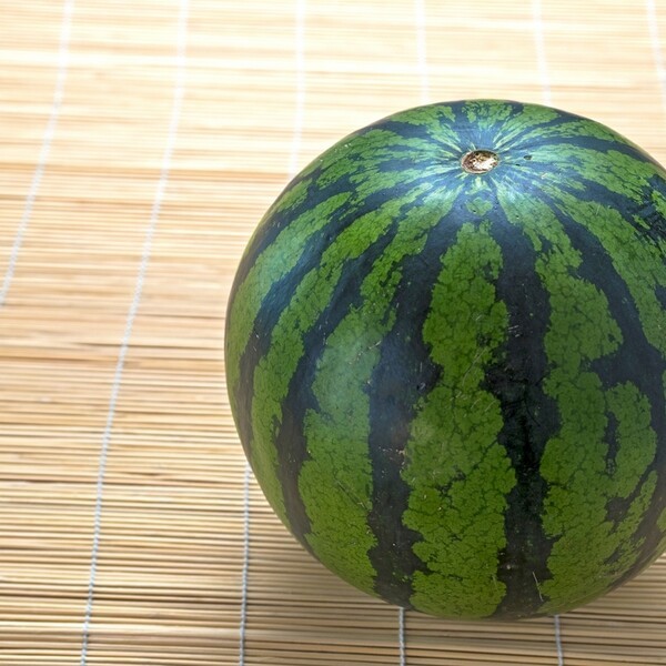 kurashiru