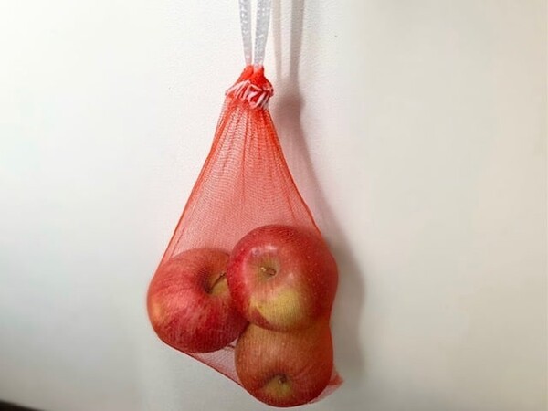 saita-puls