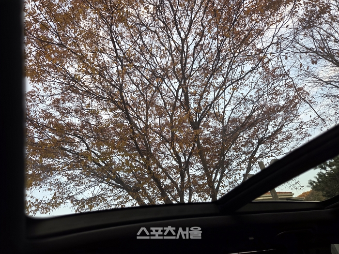 벤츠 GLS580 운전석에 바라본 천장 모습. 광활하게 펼쳐진 하늘과 단풍이 쏟아진다. 양평 | 원성윤 기자 socool@sportsseoul.com