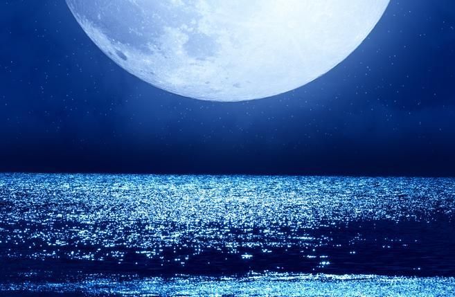  引用：Getty Images*この画像は記事の内容と一切関係ありません