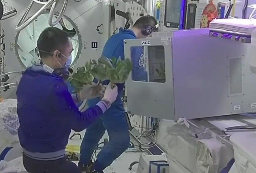 引用:中国中央電視台のWeChat