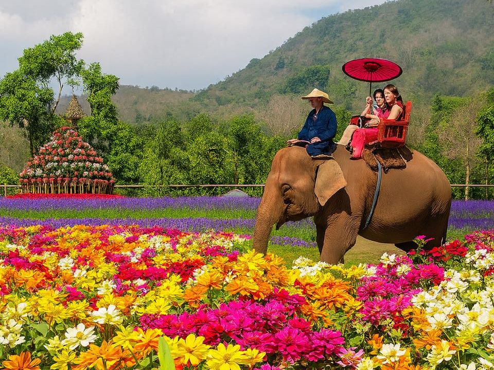 引用： グリーンジャングルパーク