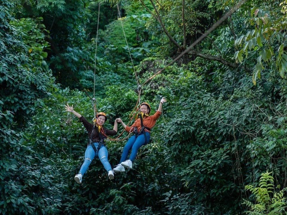 引用： グリーンジャングルパーク