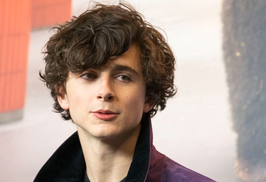 引用：wikipedia@Timothée Chalamet