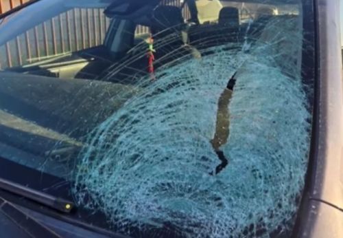  引用：YouTube@ABC7