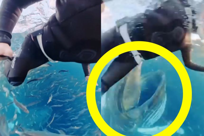 引用:Instagram@cindyatsea