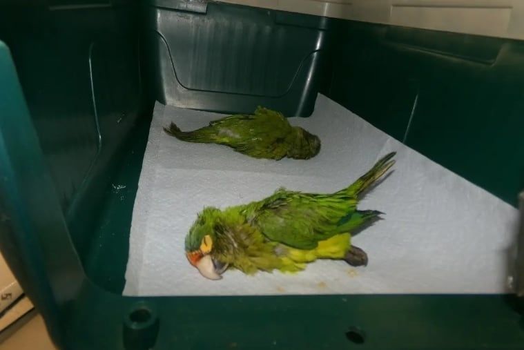 引用:カリフォルニア州南部地方検察庁