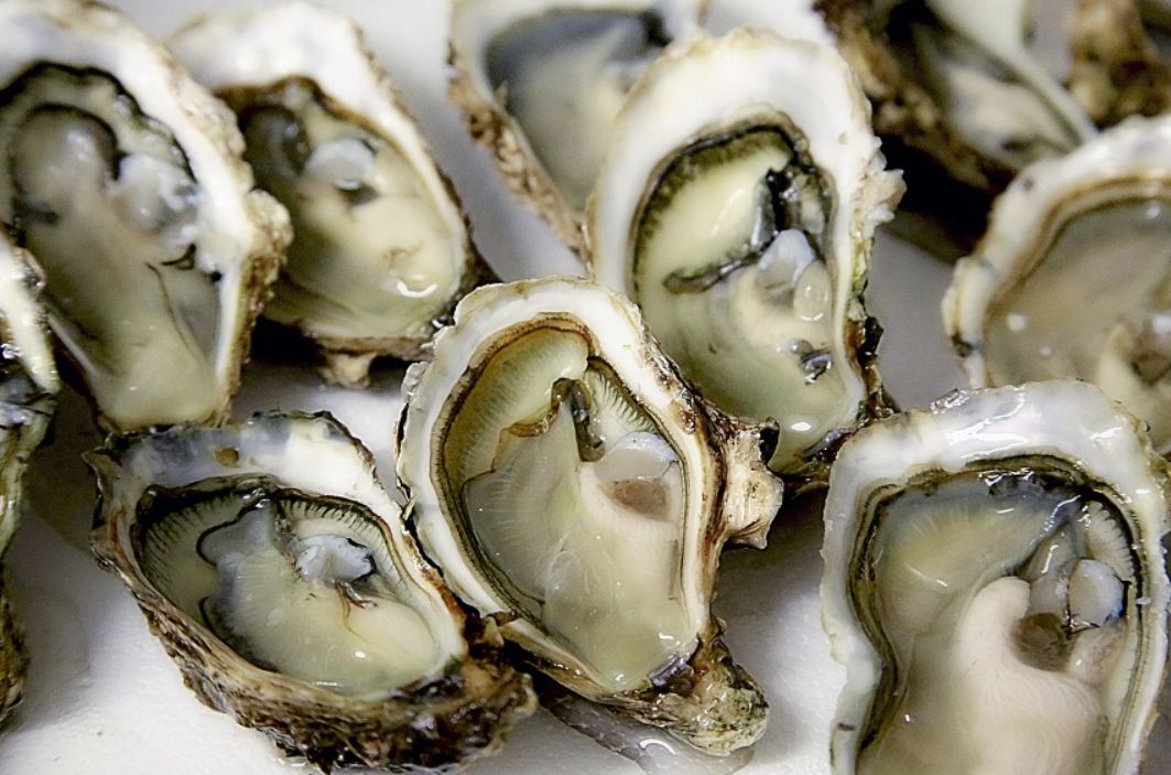 引用：Wikipedia*この画像は記事の内容と一切関係ありません