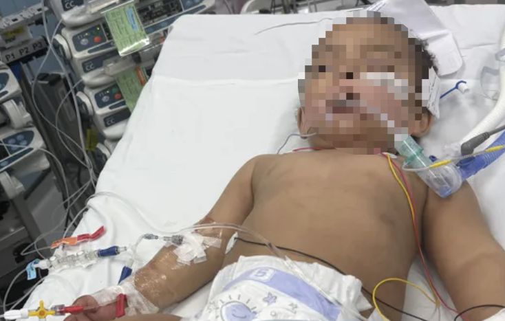 引用：オンライン募金サイト「GoFundMe」