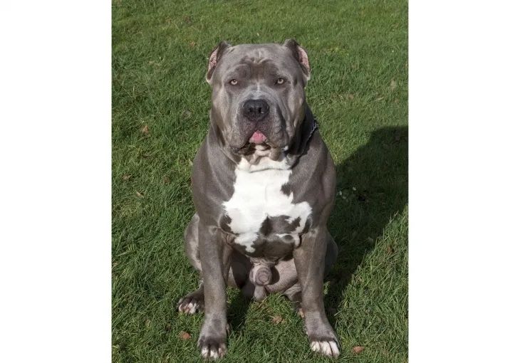 引用：Pixabay*この画像は記事の内容と一切関係ありません