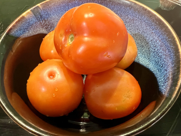 온라인 커뮤니티