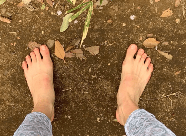 온라인 커뮤니티