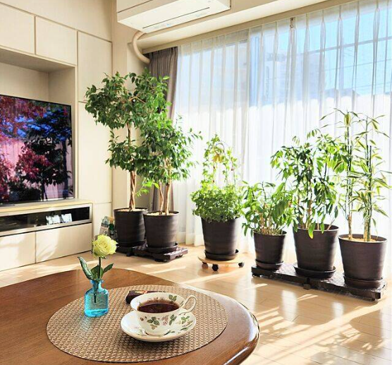 온라인 커뮤니티