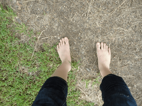 온라인 커뮤니티