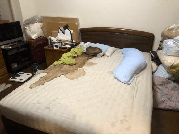 온라인 커뮤니티