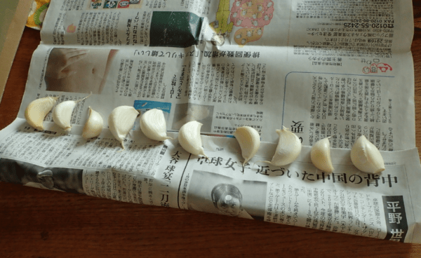 온라인 커뮤니티