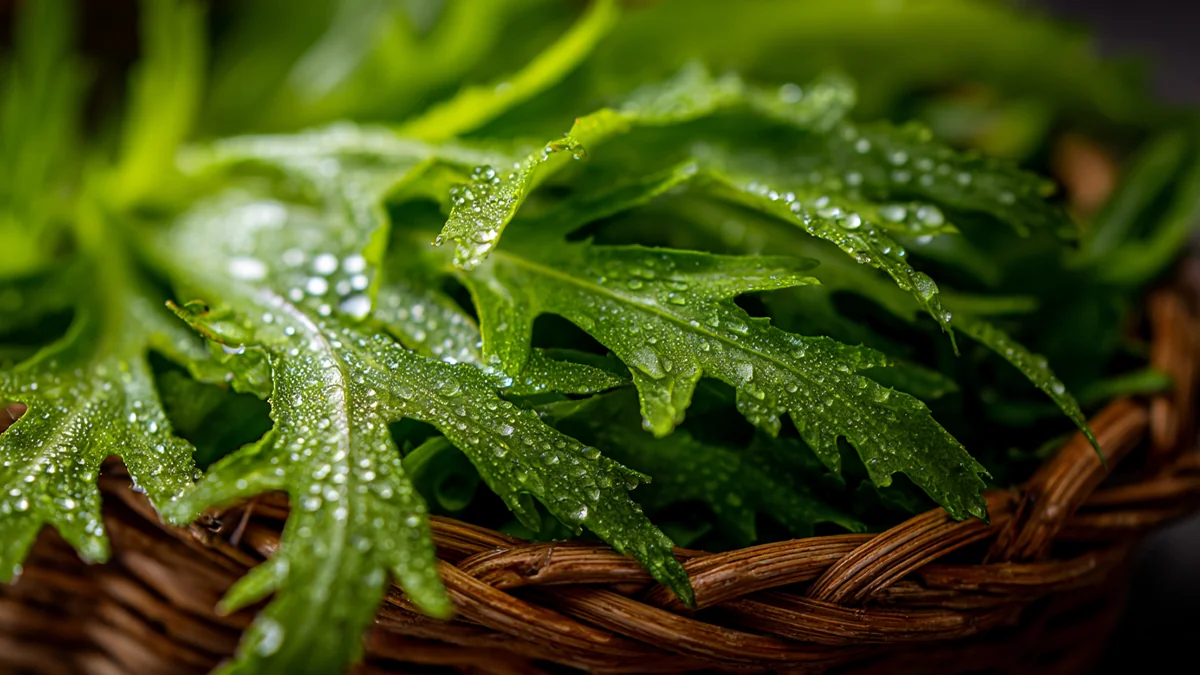 benefits-of-mugwort-1