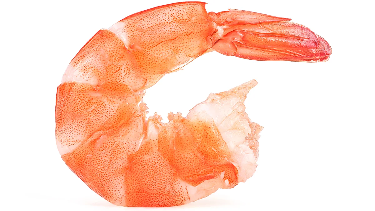 shrimp-cholesterol-4