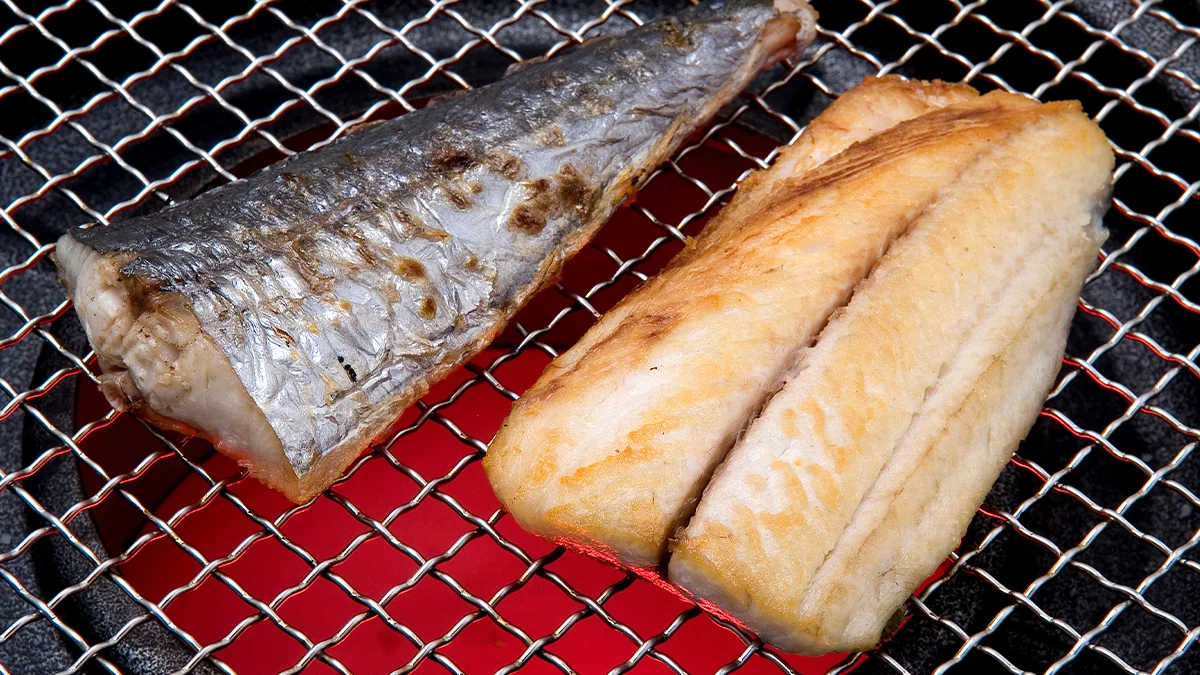 spanish-mackerel-season-4