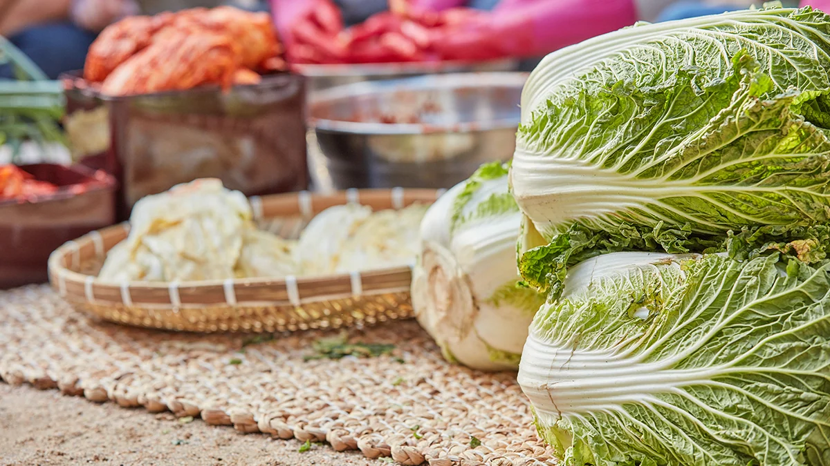 calories-in-one-head-of-cabbage-3