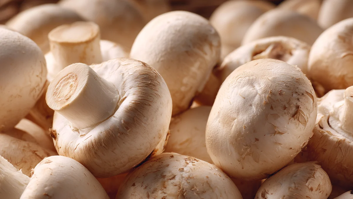 how-to-prepare-button-mushrooms-2
