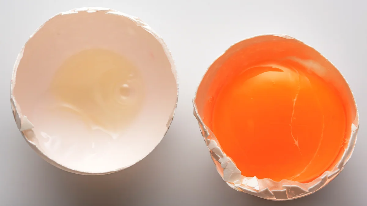 one-egg's-worth-of-protein-4