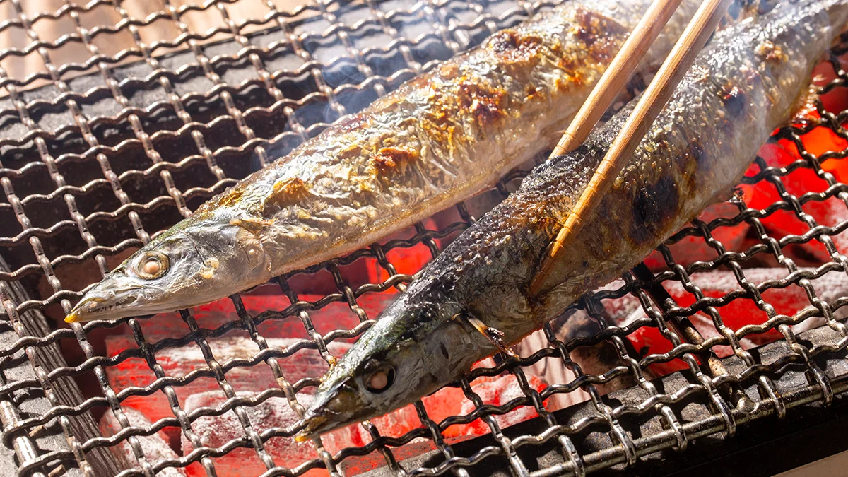 pacific-saury-benefits-1